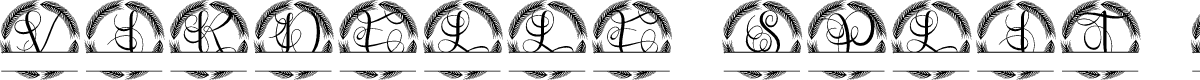 Virdelle SPlit Monogram