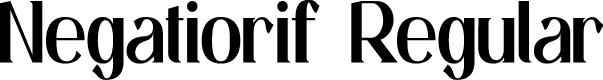 Negatiorif Personal Use Regular