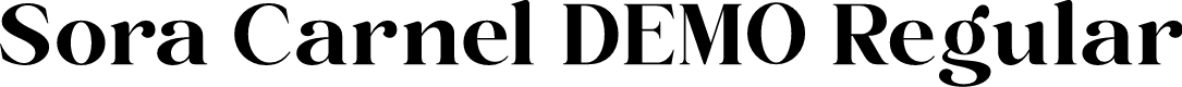 Sora Carnel DEMO Regular