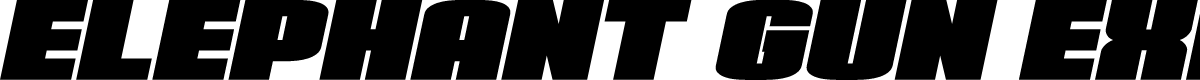 Elephant Gun Expanded Italic