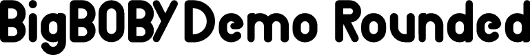 BigBOBY Demo Rounded