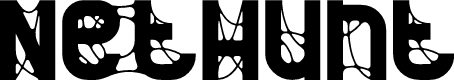 NetHunt
