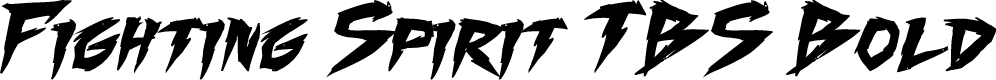 Fighting Spirit TBS Bold