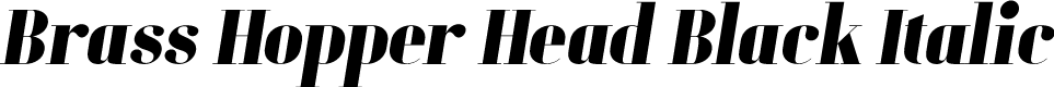 Brass Hopper Head PERSONAL Black Italic