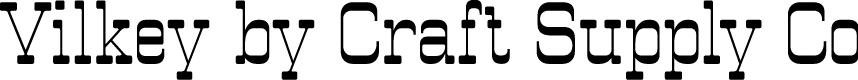 Vilkey Demo Regular