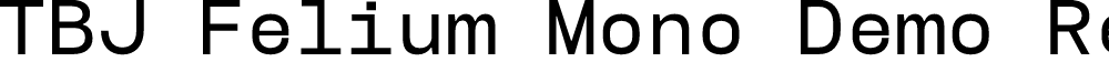 TBJ Felium Mono Demo Regular