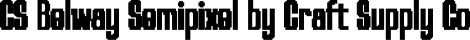 CS Belway Semipixel Regular Demo