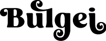 Bulgei Regular