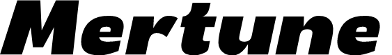 Mertune Light Italic