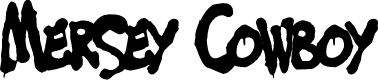 Mersey Cowboy