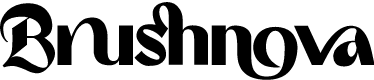 Brushnova Demo