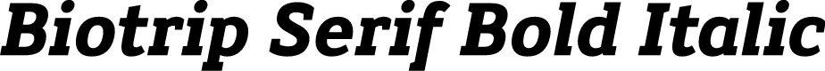 Biotrip Serif Bold Italic