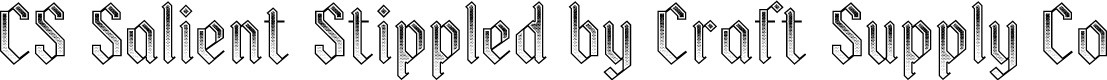CS Salient Stippled Regular Demo