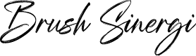 Brush Sinergi