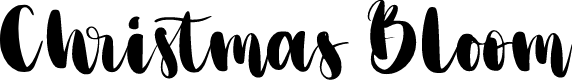 Christmas Bloom