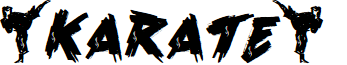 Karate Personal Use