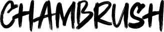 CHAMBRUSH