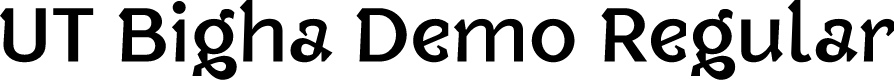 UT Bigha Demo Regular