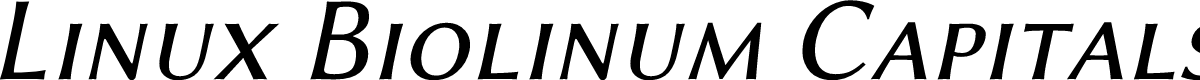 Linux Biolinum Capitals Italic
