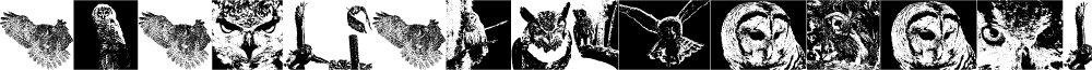 AParliamentofOwls2