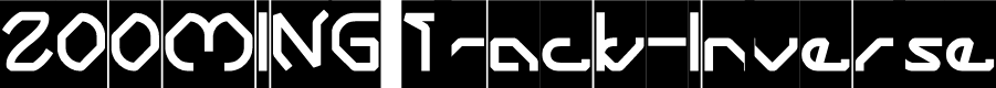 ZOOMING Track-Inverse