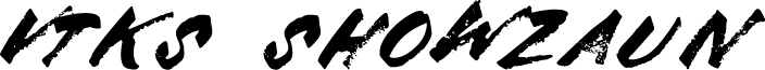 Vtks Showzaun