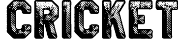 CRICKET PERSONAL USE Bold