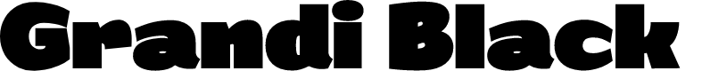 Grandi PERSONAL USE Black