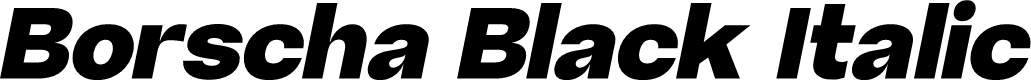 Borscha Black Italic