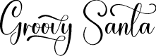 Groovy Santa