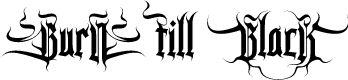 Burn till Black Regular