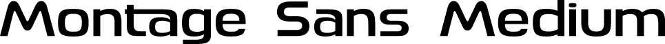 Montage Sans Medium