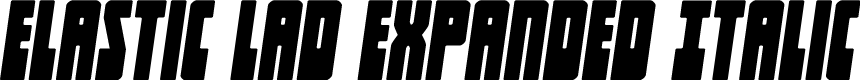 Elastic Lad Expanded Italic