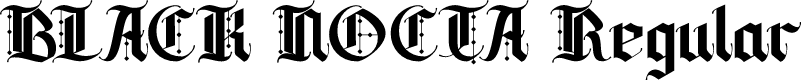 BLACK NOCTA Regular