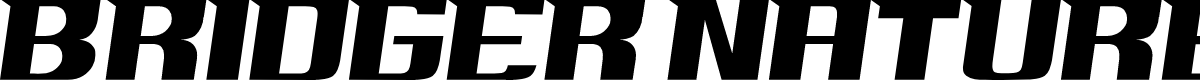 BRIDGER NATURE