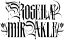 Rosella mirakle Regular