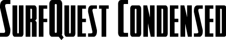 SurfQuest Condensed