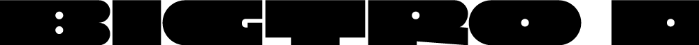Bigtro Demo
