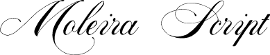 Moleira Script Demo