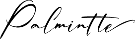 Palmintte