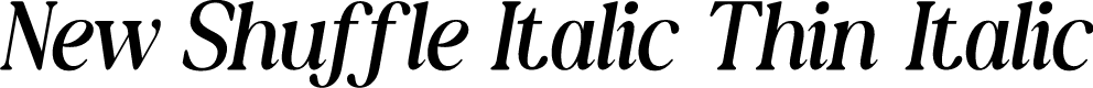 New Shuffle Italic Thin Italic