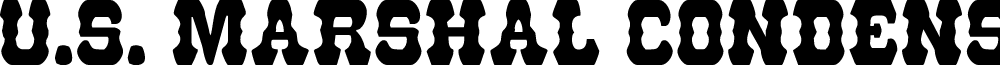 U.S. Marshal Condensed