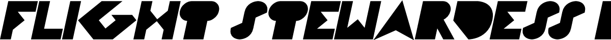 FLIGHT STEWARDESS Bold Italic
