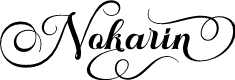 Nokarin Regular