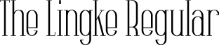 The Lingke Regular