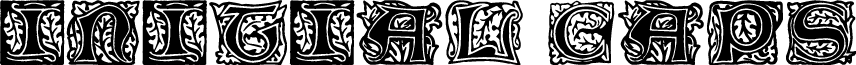 Initial Caps