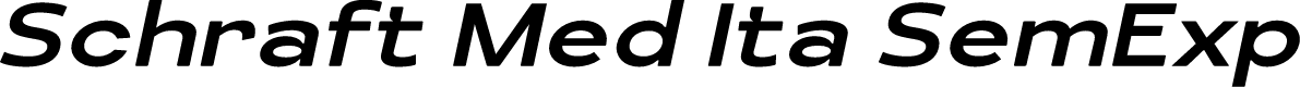 Schraft Med Ita SemExp