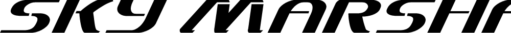 Sky Marshal Super-Italic