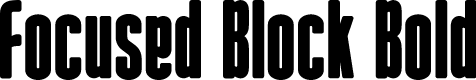 Focused Block Bold