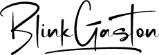Blink Gaston PERSONAL USE Regular